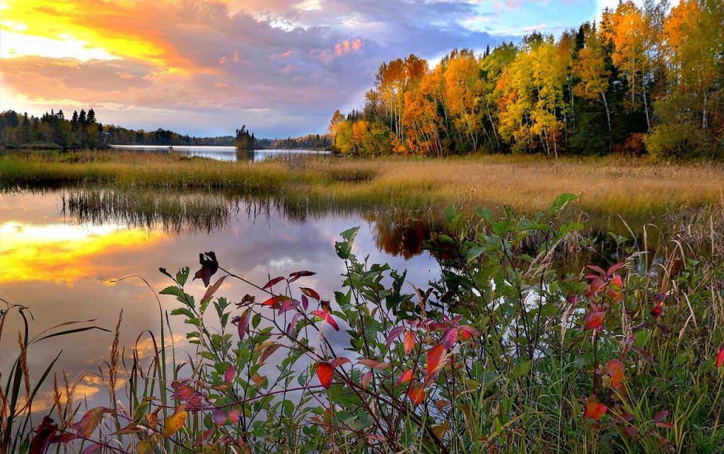 Le Canada, une destination pour les amoureux de la nature