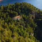 arbre-a-cabane