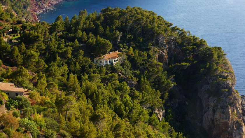 arbre-a-cabane