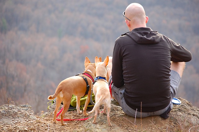 randonnée avec son chien