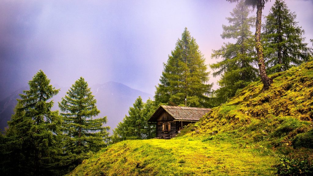 découvrez le charme d'un cottage à louer pour des vacances inoubliables en pleine nature. profitez de confort, tranquillité et paysages pittoresques en famille ou entre amis.